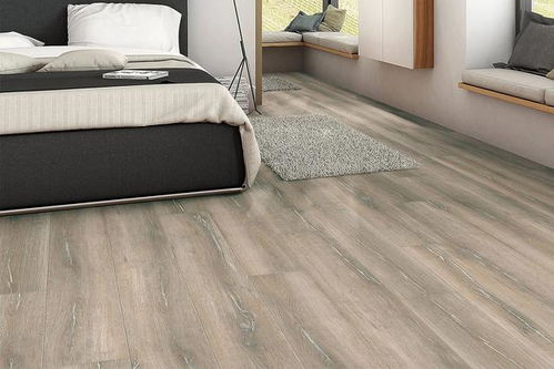 德國Haro品牌木地板 品質與設計的完美融合，暢銷全國