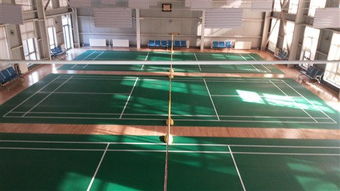 專注品質，服務運動——北京達森運動木地板有限責任公司